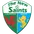 The New Saints crest