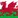 Wales U21 crest